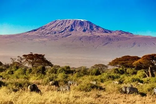 Mount Kilimanjaro rising above wildlife on the Tanzanian plains