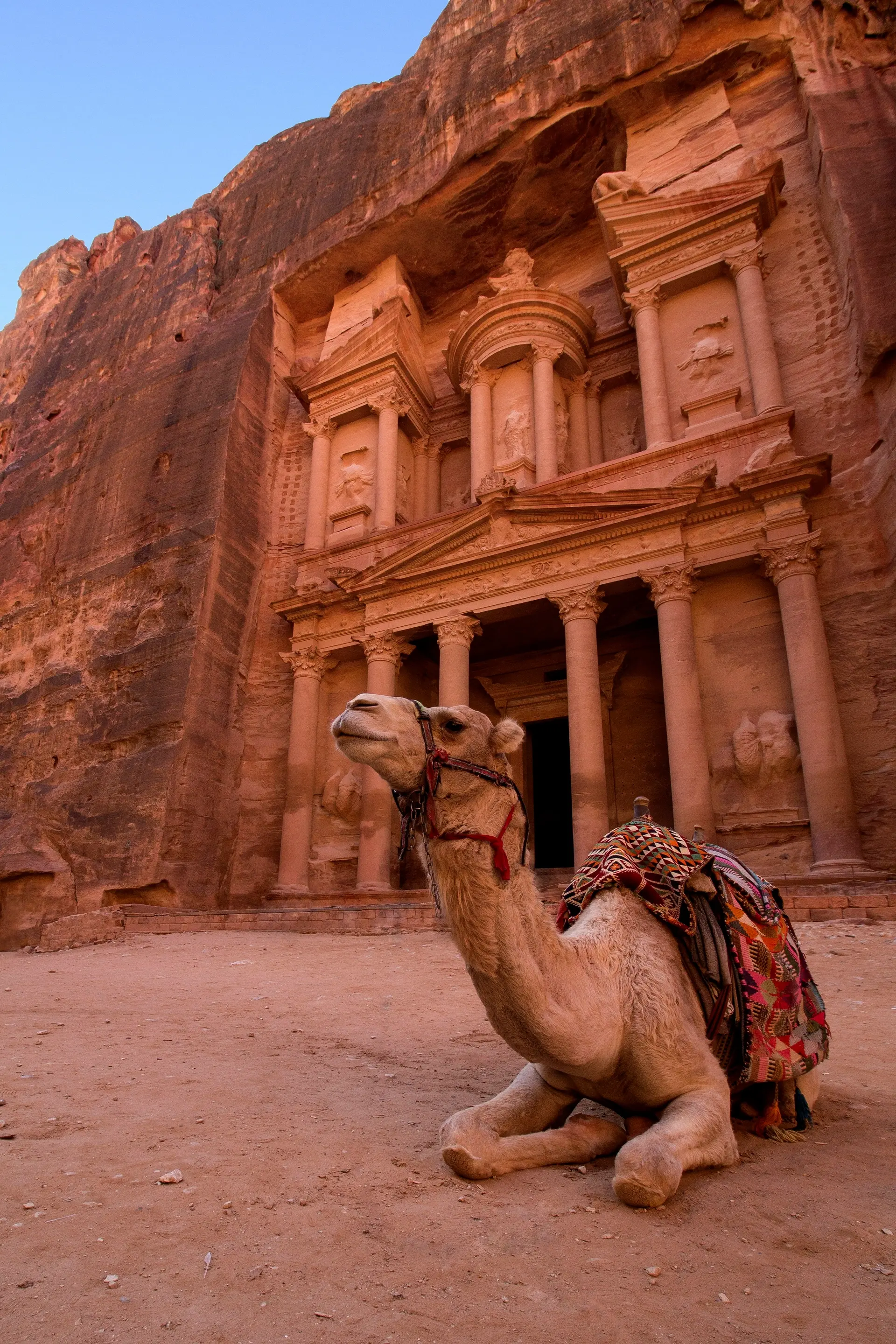 A camel resting before the Treasury at Petra in Jordan